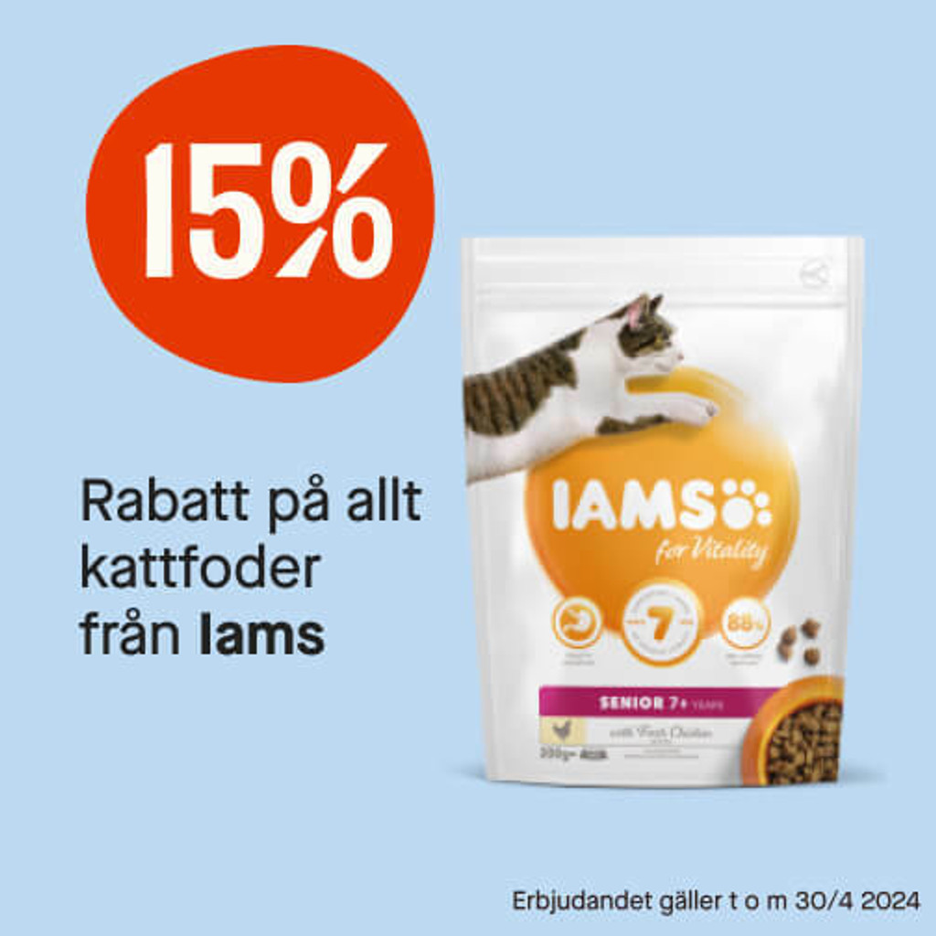 15% Iams kattfoder 