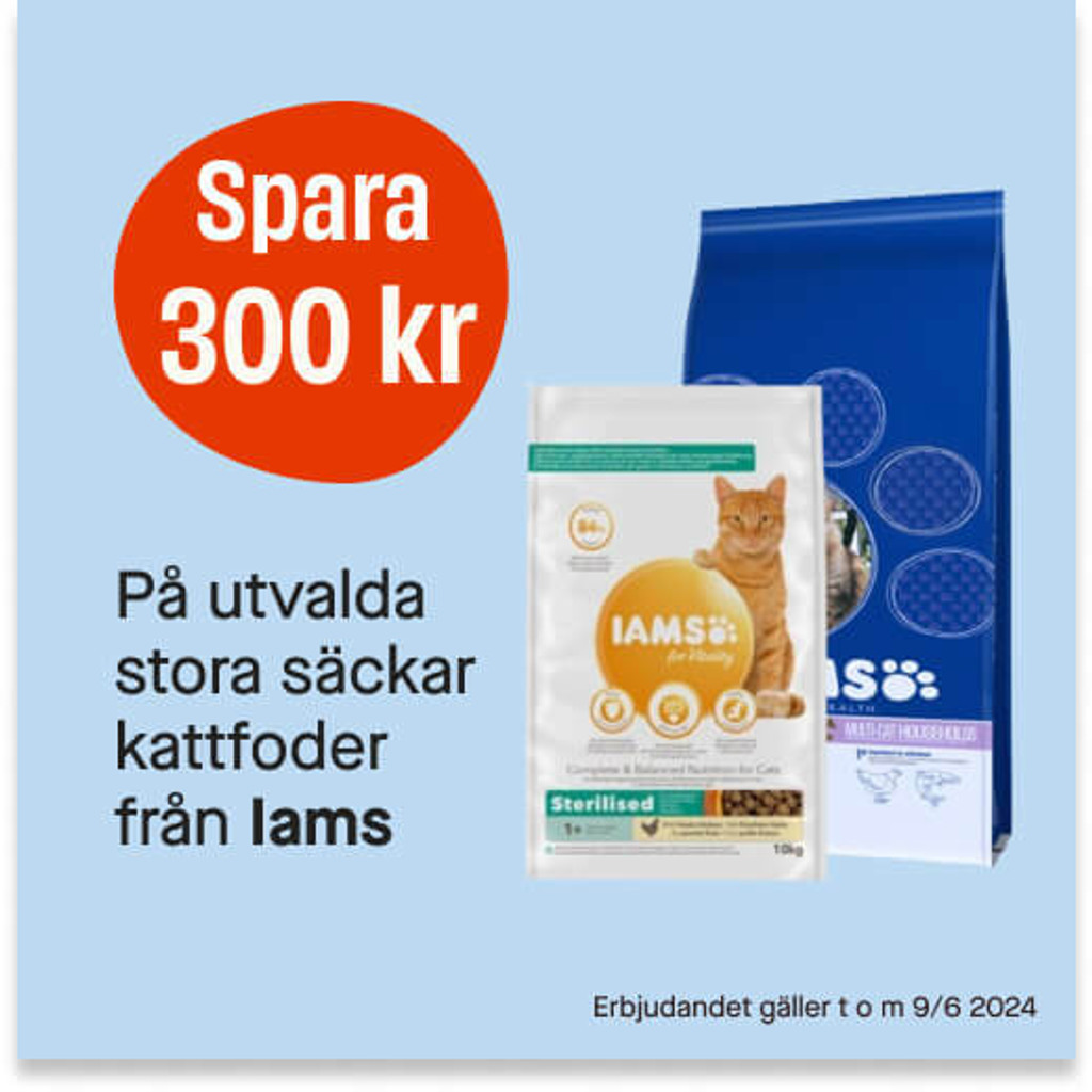 Spara 300 kr på Iams