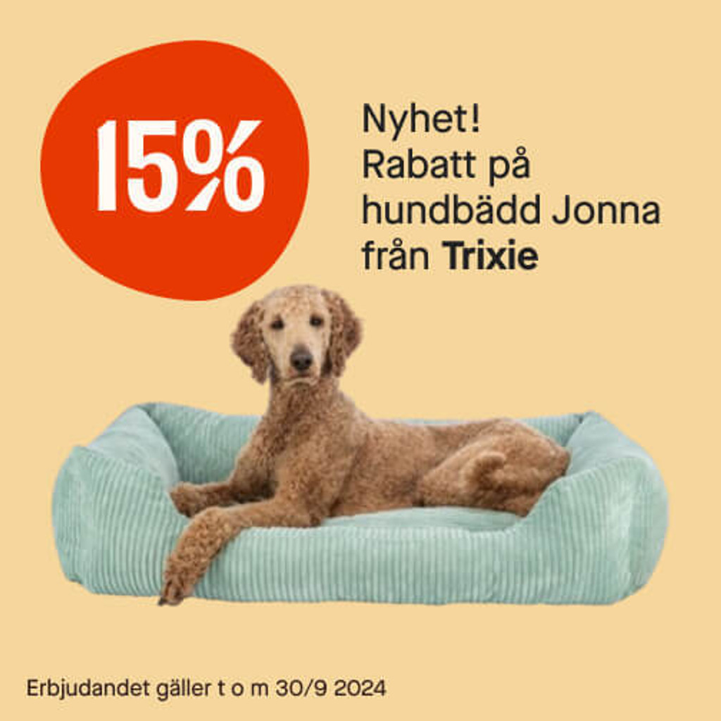 15% hundbädd