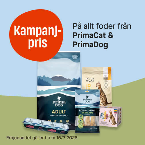 PrimaDog & PrimaCat