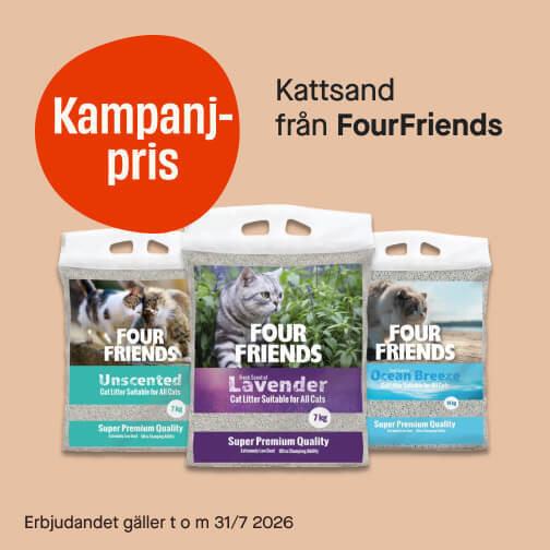 Kattsand FourFriends