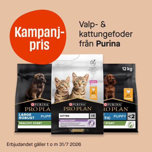 Valp & Kattunge Purina