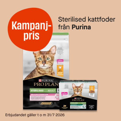 Sterilised Purina