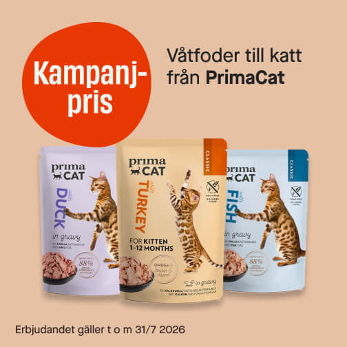 Våtfoder PrimaCat