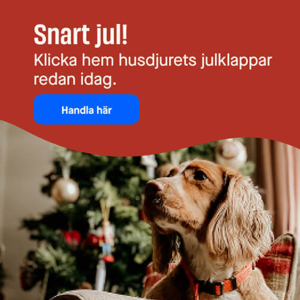 Julklappar