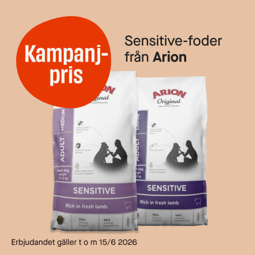 Arion