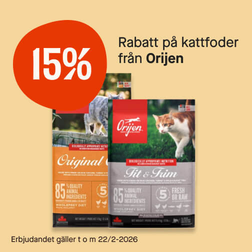 15% Orijen katt