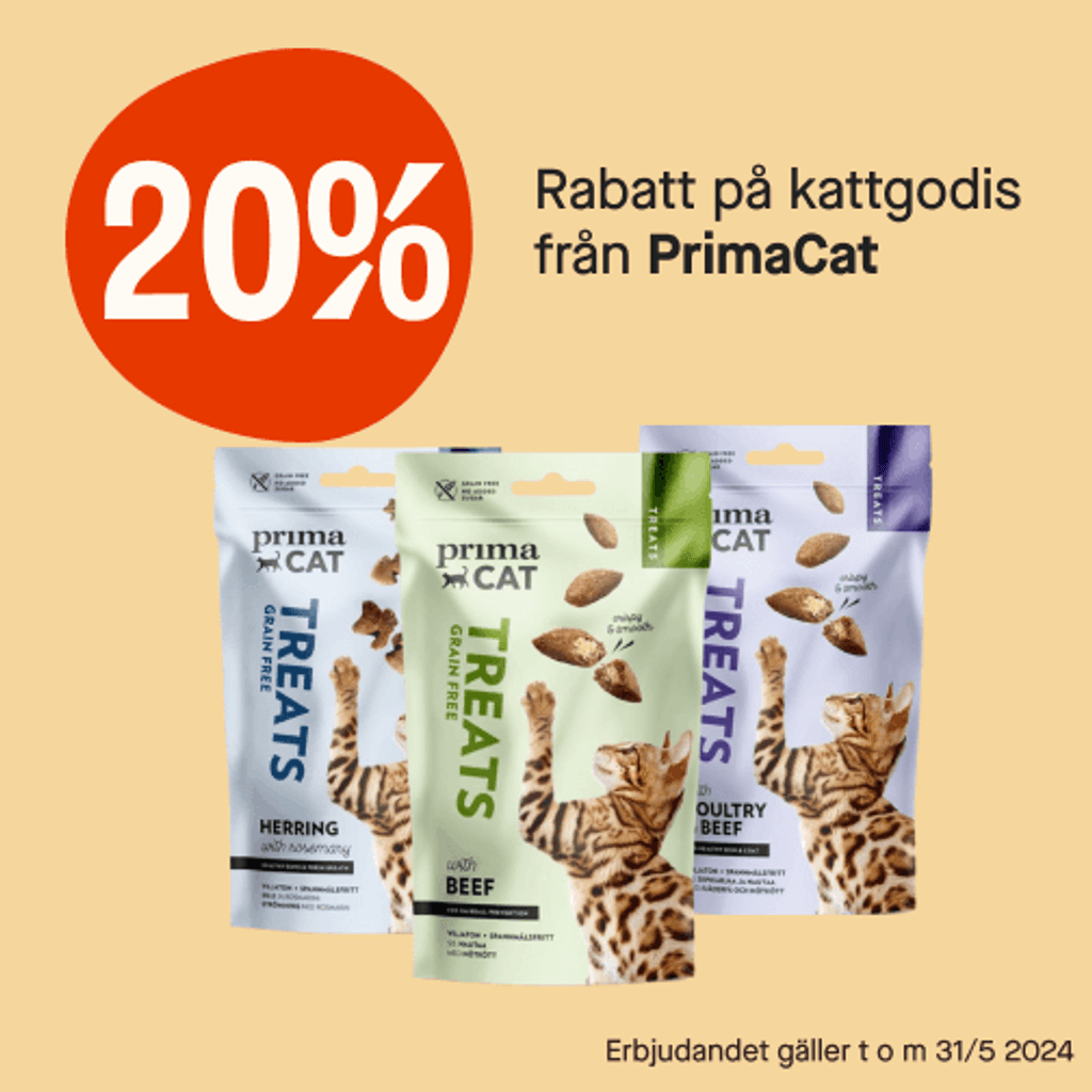 20% kattgodis