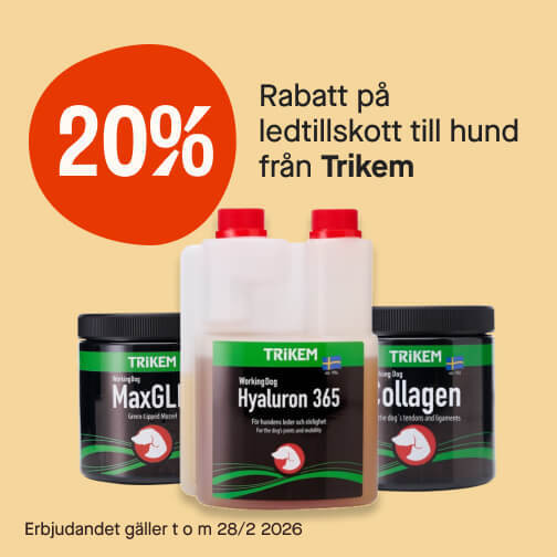 20% ledtillskott