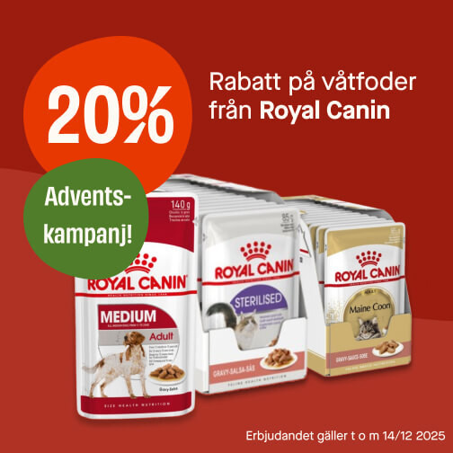 20% Royal Canin