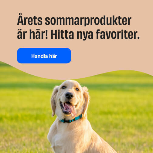 Sommartips liten