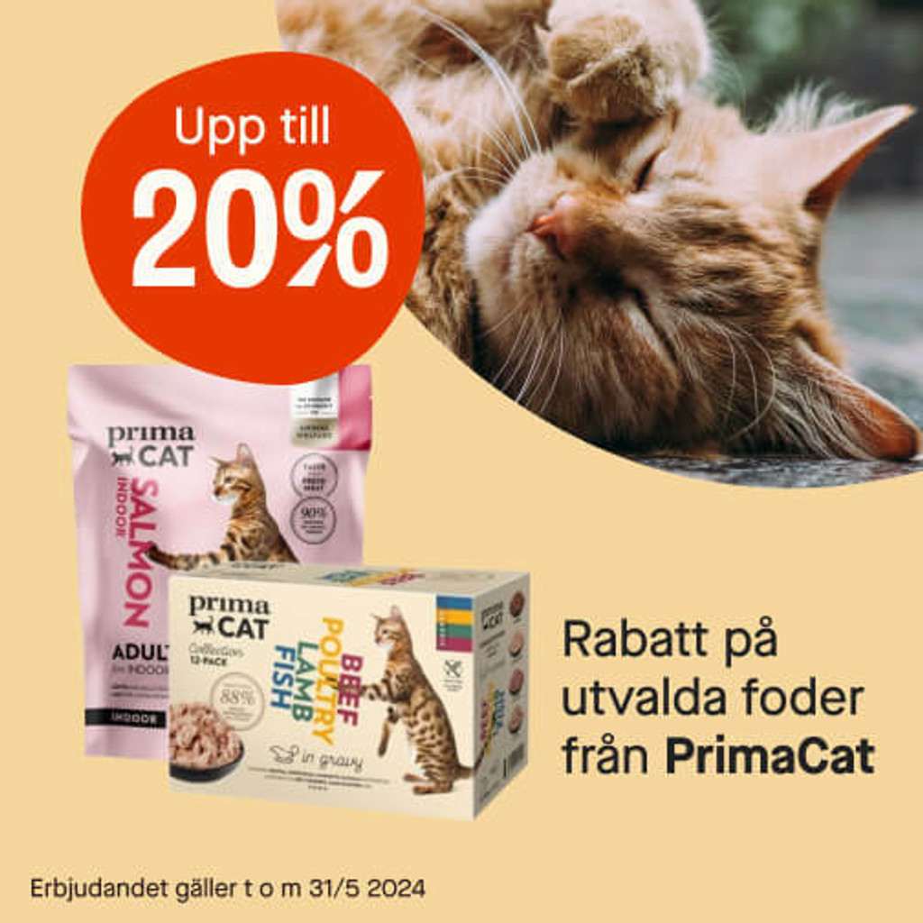 Upp till 20% Primacat