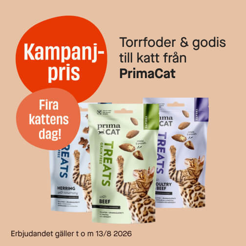 Foder & godis PrimaCat
