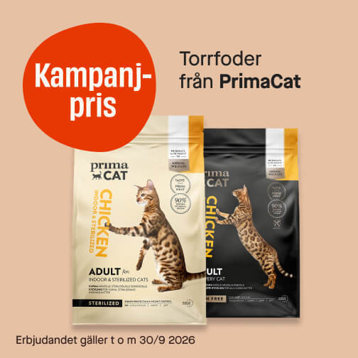 Torrfoder PrimaCat
