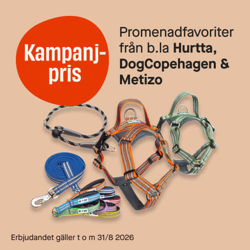 Selar, koppel & halsband