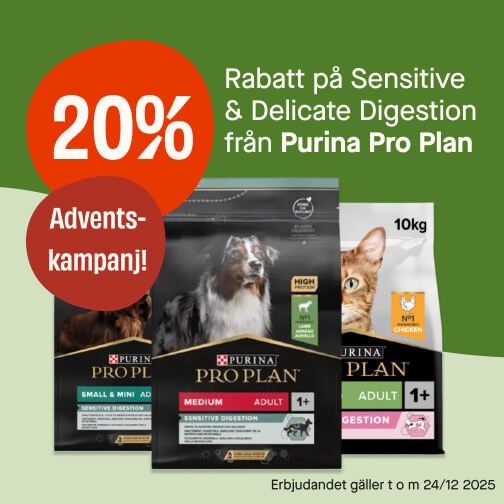 20% Purina