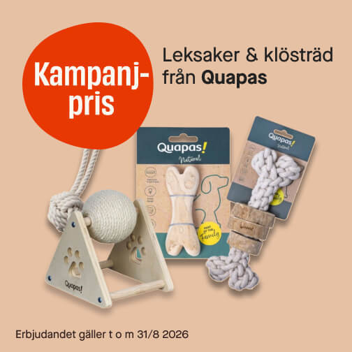 Quapas