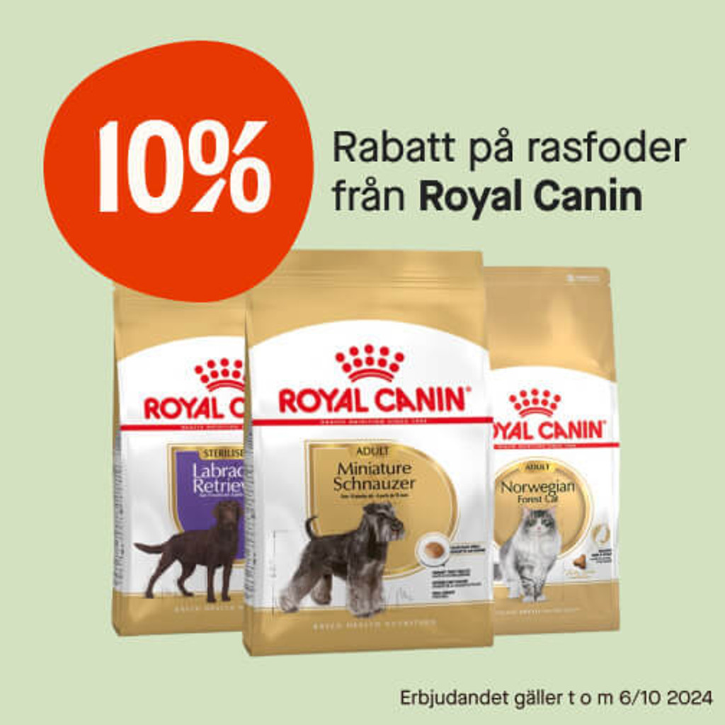 10% Royal Canin