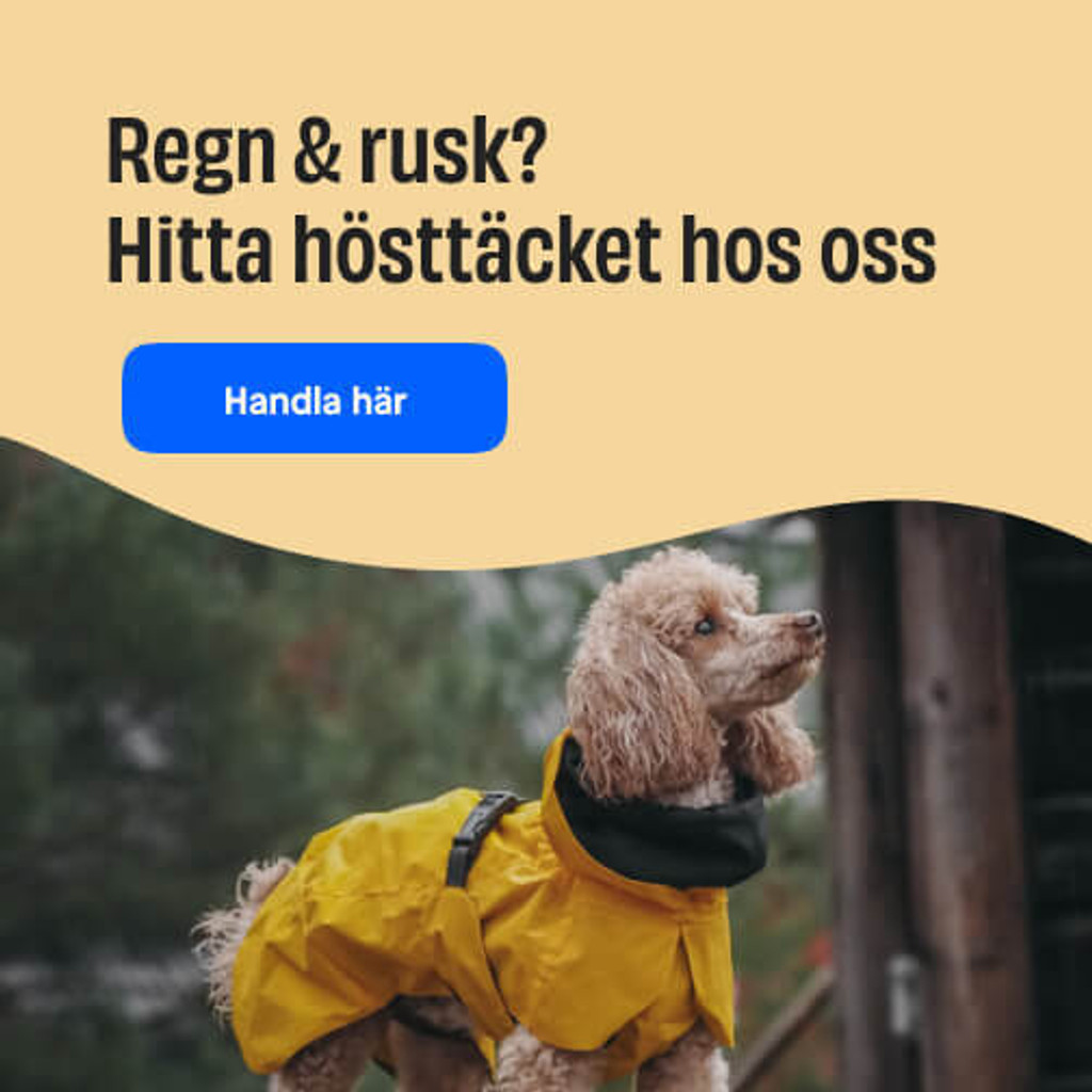 Hösttäcken