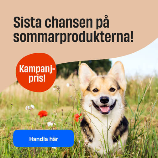 Sommartips liten