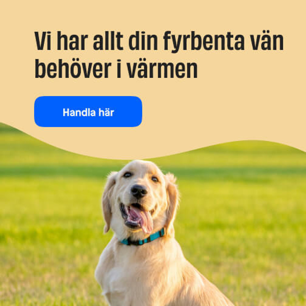 Ut på tur