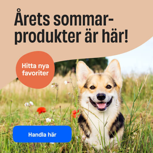 Sommartips liten