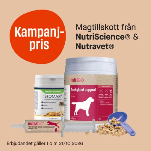 Magtillskott