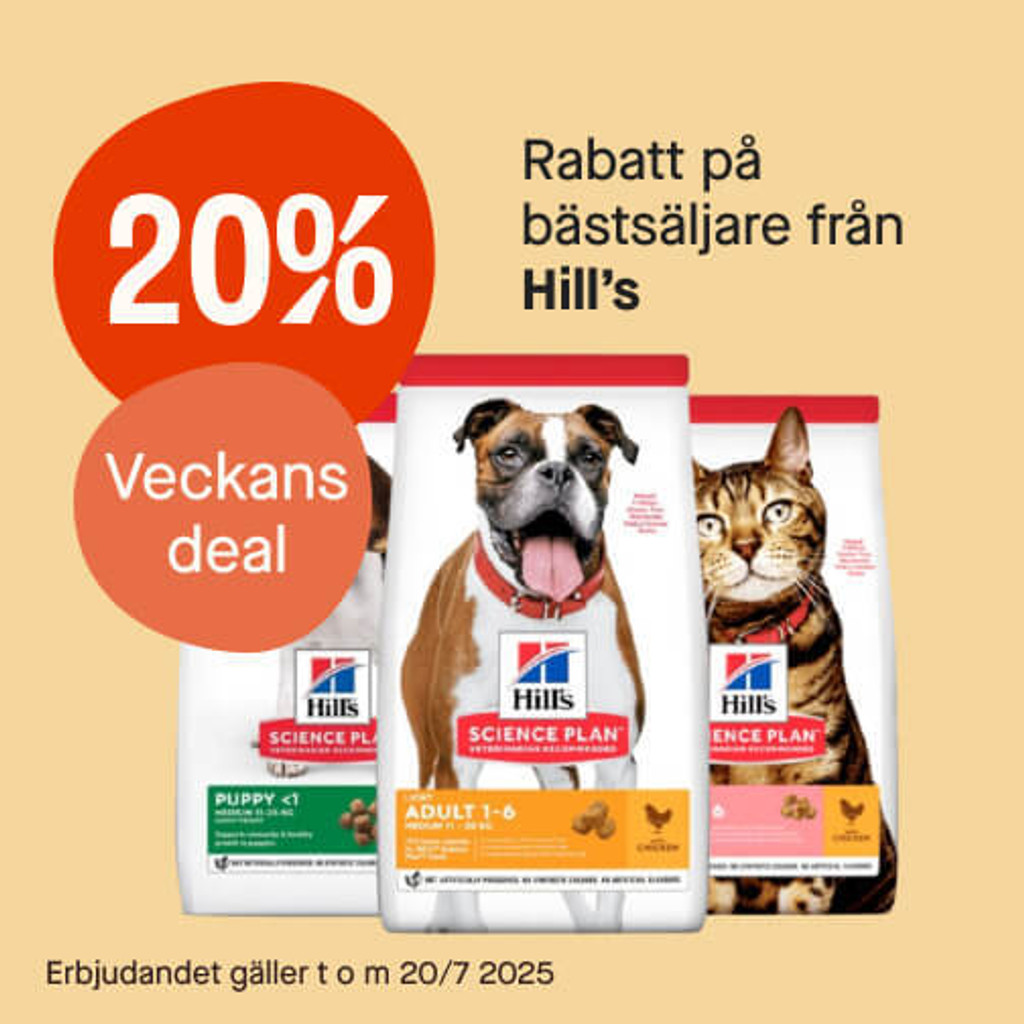 20% Hill's