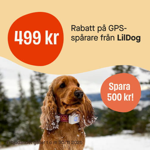 499 kr LilDog