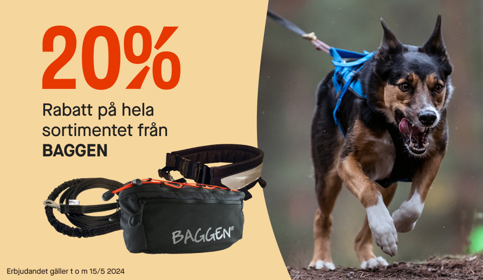 20% Baggen