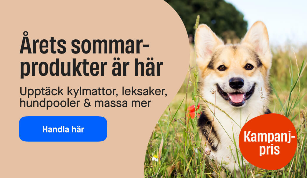 Sommarprodukter
