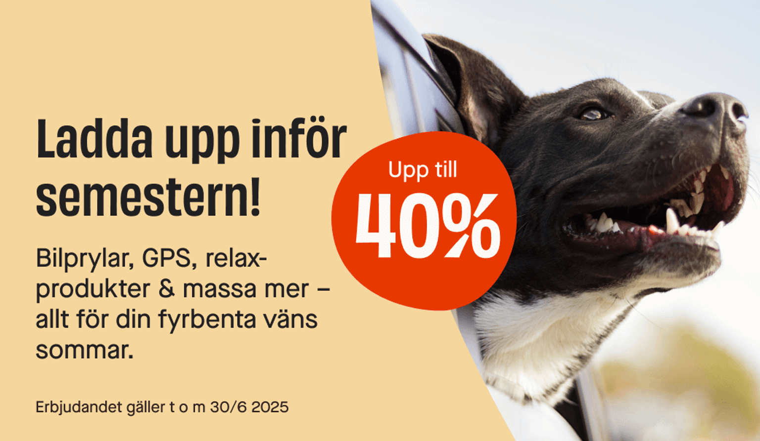 Sommarsemester