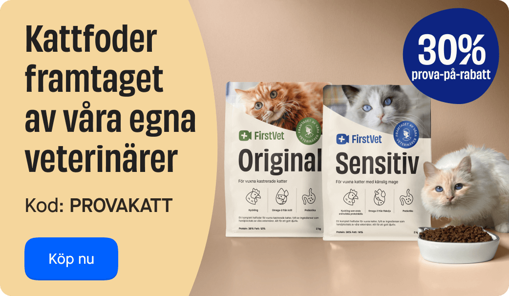 FirstVet Kattmat