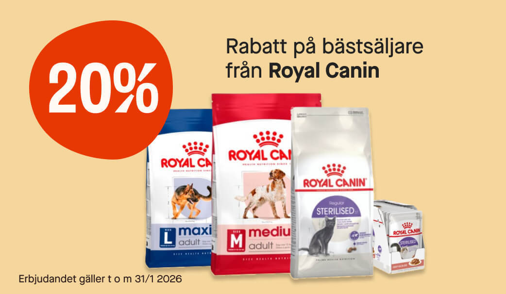 20% Royal Canin