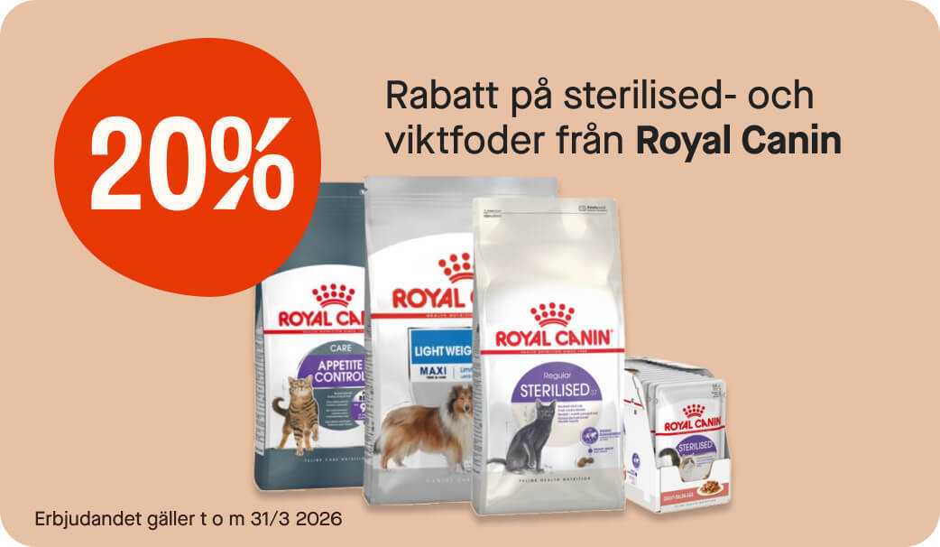 20% Royal Canin