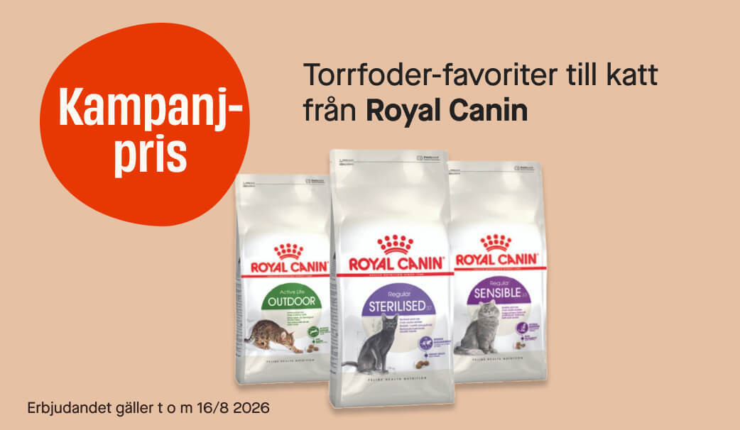 Kattfavoriter Royal Canin