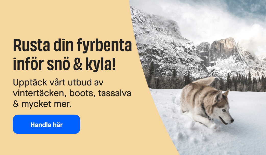 Allt för snö & kyla