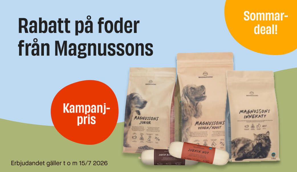 Magnussons