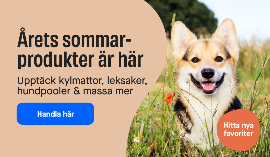 Sommarprodukter