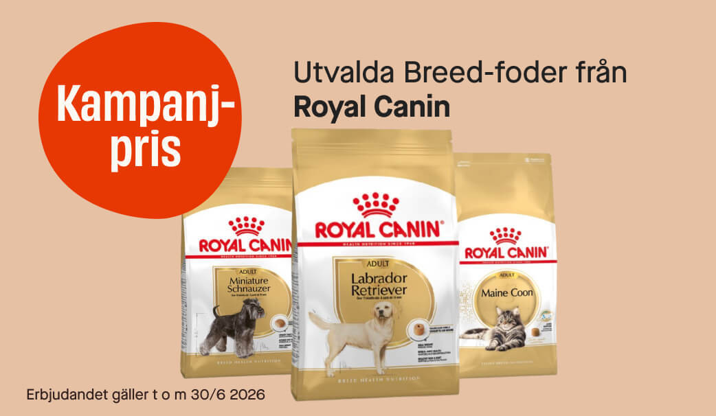 Breed Royal Canin