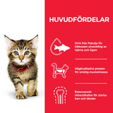Kitten torrfoder med kyckling