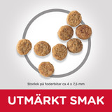 Adult Light Small & Mini torrfoder med kyckling för hund