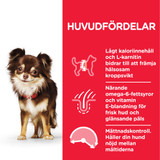 Mature Adult Light Small & Mini torrfoder med kyckling Hundfoder