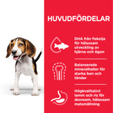 Puppy Medium torrfoder med lamm och ris