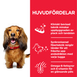 Adult Oral Care Medium torrfoder med kyckling Hundfoder