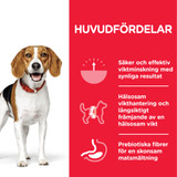 Adult Perfect Weight Medium torrfoder med kyckling Hundfoder