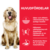 Adult Perfect Weight Large Breed torrfoder med kyckling Hundfoder