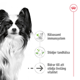X-Small Ageing 12+ Ageing Torrfoder för hund