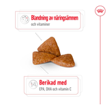 X-Small Ageing 12+ Ageing Torrfoder för hund