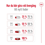 Mini Ageing 12+ Torrfoder för hund